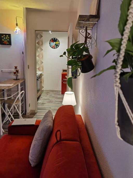 Cosy T1Bis Proche Centreville, Petit Port, Audencia Нант Экстерьер фото